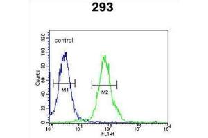 Flow Cytometry (FACS) image for anti-Rhotekin 2 (RTKN2) antibody (ABIN3002451) (RTKN2 抗体)