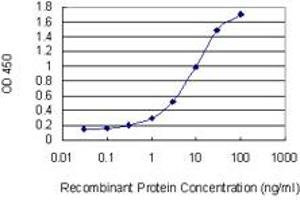 Detection limit for recombinant GST tagged SOS1 is 0. (SOS1 抗体  (AA 313-420))