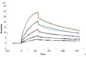 Surface Plasmon Resonance (SPR) image for Apolipoprotein E (APOE) (AA 19-311) protein (His tag) (ABIN7273869)
