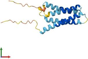 Protein Structure (PS) image for Chemokine-Like Factor (CKLF) (AA 1-152) protein (His tag) (ABIN7553385)