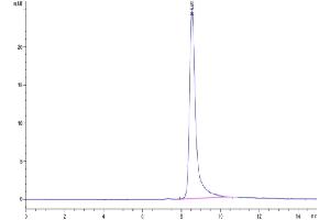 Size-exclusion chromatography-High Pressure Liquid Chromatography (SEC-HPLC) image for Apolipoprotein H (Beta-2-Glycoprotein I) (APOH) (AA 20-345) protein (His tag) (ABIN7273856)