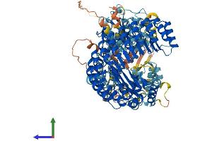 Protein Structure (PS) image for NLR Family, Pyrin Domain Containing 12 (NLRP12) (AA 1-1061) protein (His tag) (ABIN7554686)