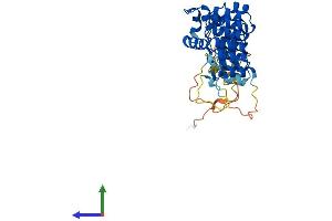 Protein Structure (PS) image for Ankyrin Repeat and SOCS Box-Containing 1 (ASB1) (AA 1-335) protein (His tag) (ABIN7552411)