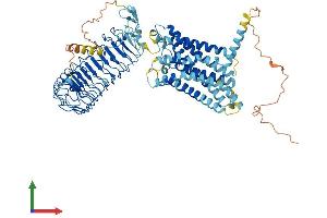 Protein Structure (PS) image for Relaxin/insulin-Like Family Peptide Receptor 1 (RXFP1) (AA 1-757) protein (His tag) (ABIN7555377)