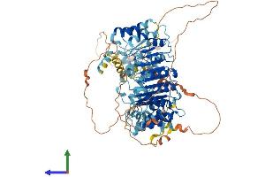 Protein Structure (PS) image for Leucine Rich Repeat Containing 41 (LRRC41) (AA 1-812) protein (His tag) (ABIN7549132)