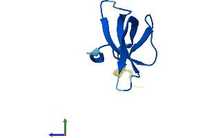 Protein Structure (PS) image for Ribosomal Protein S28 (RPS28) (AA 1-69) protein (Fc Tag) (ABIN7551574)