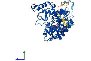 Protein Structure (PS) image for Histone Deacetylase 3 (HDAC3) (AA 1-428) protein (His tag) (ABIN7554076)
