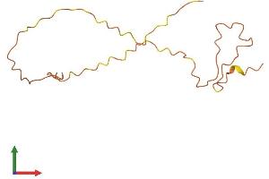 AlphaFold protein structure predicition of Human Recombinant KRTAP5-6 Protein, UniprotID Q6L8G9