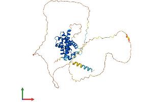 Protein Structure (PS) image for BCL2-Like 13 (Apoptosis Facilitator) (BCL2L13) (AA 1-434) protein (His tag) (ABIN7556533)