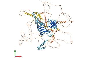 AlphaFold protein structure predicition of Mouse Recombinant Tex2 Protein, UniprotID Q6ZPJ0