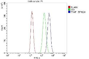 Flow Cytometry analysis of A549 cells using anti-TRAF1 antibody (ABIN7600020).