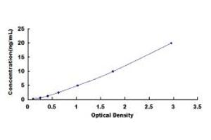 Typical standard curve (LGALS8 ELISA 试剂盒)