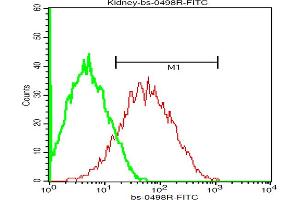 Tissue/cell: mouse kidney cell, Red line: Anti-ADRB1 Polyclonal Antibody, FITC conjugated (ABIN669358) 1:200, 40 minutes at 37 °C.