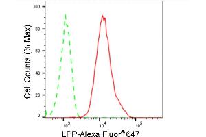 Flow cytometric analysis of LPP expression in HT- cells using LPP antibody (ABIN7799277), 1:2,000). (Recombinant LPP 抗体)