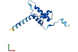 Protein Structure (PS) image for CDKN2A Interacting Protein N-Terminal Like (CDKN2AIPNL) (AA 1-116) protein (His tag) (ABIN7552822)