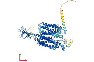 Protein Structure (PS) image for Solute Carrier Family 22 (Organic Cation Transporter), Member 16 (SLC22A16) (AA 1-577) protein (His tag) (ABIN7555383)