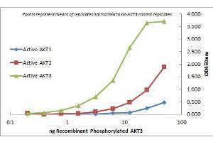 ELISA of Mouse Monoclonal anti-AKT3 antibody. (AKT3 抗体  (Internal Region) (Biotin))
