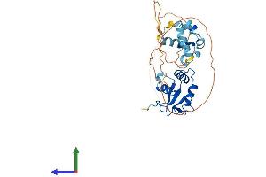 Protein Structure (PS) image for Ets Homologous Factor (EHF) (AA 1-300) protein (His tag) (ABIN7547357)