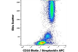 Flow cytometry surface staining pattern of human peripheral whole blood stained using anti-human CD10 (MEM-78) Biotin antibody (concentration in sample 12 μg/mL, Streptavidin APC). (MME 抗体  (Biotin))