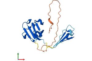 Protein Structure (PS) image for Crystallin, gamma N (CRYGN) (AA 1-182) protein (His tag) (ABIN7546767)