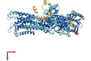 AlphaFold protein structure predicition of Mouse Recombinant Atp8b5 Protein, UniprotID A3FIN4