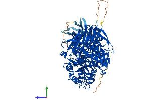 Protein Structure (PS) image for Glucosidase, Alpha, Neutral C (GANC) (AA 1-898) protein (His tag) (ABIN7558943)