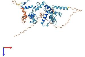 AlphaFold protein structure predicition of Human Recombinant ZSCAN31 Protein, UniprotID Q96LW9