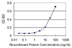 Detection limit for recombinant GST tagged NOC3L is 1 ng/ml as a capture antibody. (NOC3L 抗体  (AA 702-800))