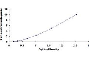 Typical standard curve (NRF1 ELISA 试剂盒)