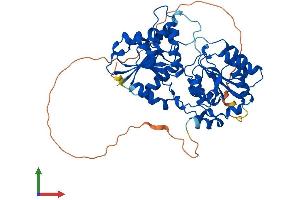 Protein Structure (PS) image for Glycosyltransferase-Like Domain Containing 1 (GTDC1) (AA 1-458) protein (His tag) (ABIN7548109)