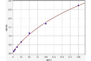 CD38 ELISA Kit
