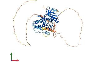 Protein Structure (PS) image for CaM Kinase-Like Vesicle-Associated (CAMKV) (AA 1-501) protein (His tag) (ABIN7552958)