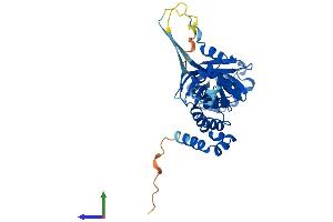Protein Structure (PS) image for Speckle-Type POZ Protein (SPOP-B) (AA 1-374) protein (His tag) (ABIN7555590)