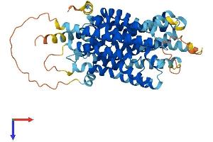 Transmembrane Protein 180 (TMEM180) (AA 1-517) protein (His tag)