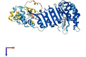 AlphaFold protein structure predicition of Human Recombinant PRAMEF6 Protein, UniprotID Q5VXH4