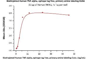 ELISA image for Tumor Necrosis Factor alpha (TNF alpha) (AA 77-233) (Active) protein (Biotin) (ABIN2181833)