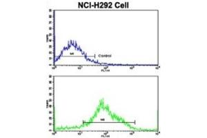 Flow Cytometry (FACS) image for anti-Pleckstrin Homology Domain Containing, Family G (With RhoGef Domain) Member 6 (PLEKHG6) antibody (ABIN3002882)