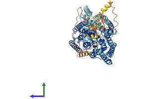Protein Structure (PS) image for Solute Carrier Family 5 Member 3 (SLC5A3) (AA 1-718) protein (His tag) (ABIN7561657)