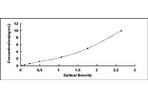 Typical standard curve (COL8A1 ELISA 试剂盒)