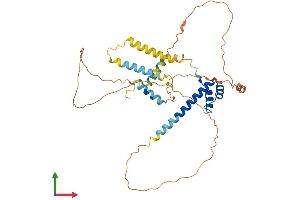 AlphaFold protein structure predicition of Human Recombinant DMBX1 Protein, UniprotID Q8NFW5