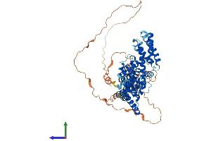Protein Structure (PS) image for T-Complex 11, Testis-Specific (TCP11) (AA 1-566) protein (His tag) (ABIN7556861)