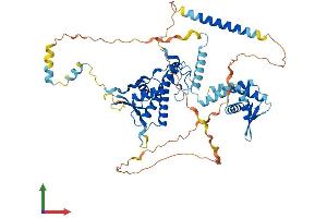 AlphaFold protein structure predicition of Human Recombinant CDT1 Protein, UniprotID Q9H211