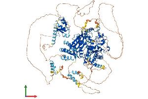 AlphaFold protein structure predicition of Human Recombinant REV1 Protein, UniprotID Q9UBZ9
