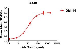 ELISA plate pre-coated by 2 μg/mL (100 μL/well) Human OX40 protein, hFc-His tagged protein ((ABIN6961095, ABIN7042219 and ABIN7042220)) can bind Rabbit anti-OX40 monoclonal antibody(clone: DM116) in a linear range of 6-70 ng/mL. (TNFRSF4 抗体  (AA 29-216))