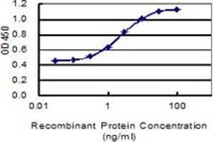 Detection limit for recombinant GST tagged SPAG16 is 0. (SPAG16 抗体  (AA 1-183))