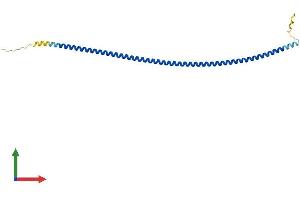 Protein Structure (PS) image for Coiled-Coil Domain Containing 153 (CCDC153) (AA 1-210) protein (His tag) (ABIN7553196)