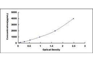 ELISA image for Coagulation Factor XII (F12) ELISA Kit (ABIN424442)