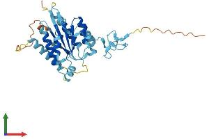 Protein Structure (PS) image for General Transcription Factor IIH, Polypeptide 3, 34kD (GTF2H3) (AA 1-309) protein (His tag) (ABIN7559851)