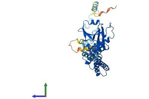 Protein Structure (PS) image for Tetratricopeptide Repeat Domain 4 (TTC4) (AA 1-387) protein (His tag) (ABIN7544789)