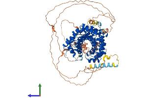 Protein Structure (PS) image for Plakophilin 3 (PKP3) (AA 1-797) protein (His tag) (ABIN7561774)